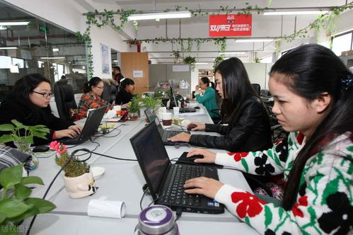 京東客服外包服務解析 日咨詢500人規模的成本與價值